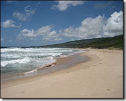 Barbados East Coast Beach Scenes